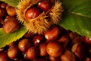 Castañas: propiedades nutricionales, beneficios y usos en la cocina
