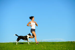 El Dog Sport: la tendencia del momento