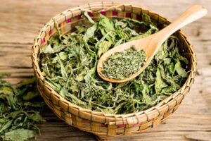 Estevia: qué es, propiedades, beneficios y cómo usar este edulcorante natural