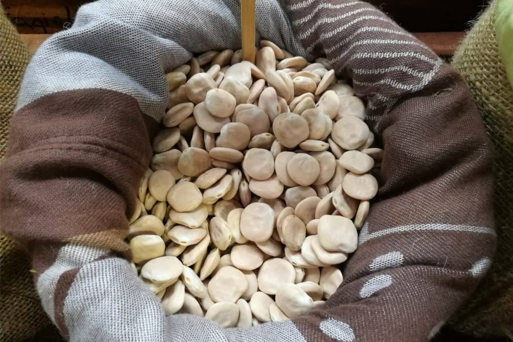 Altramuces secos en una bolsa