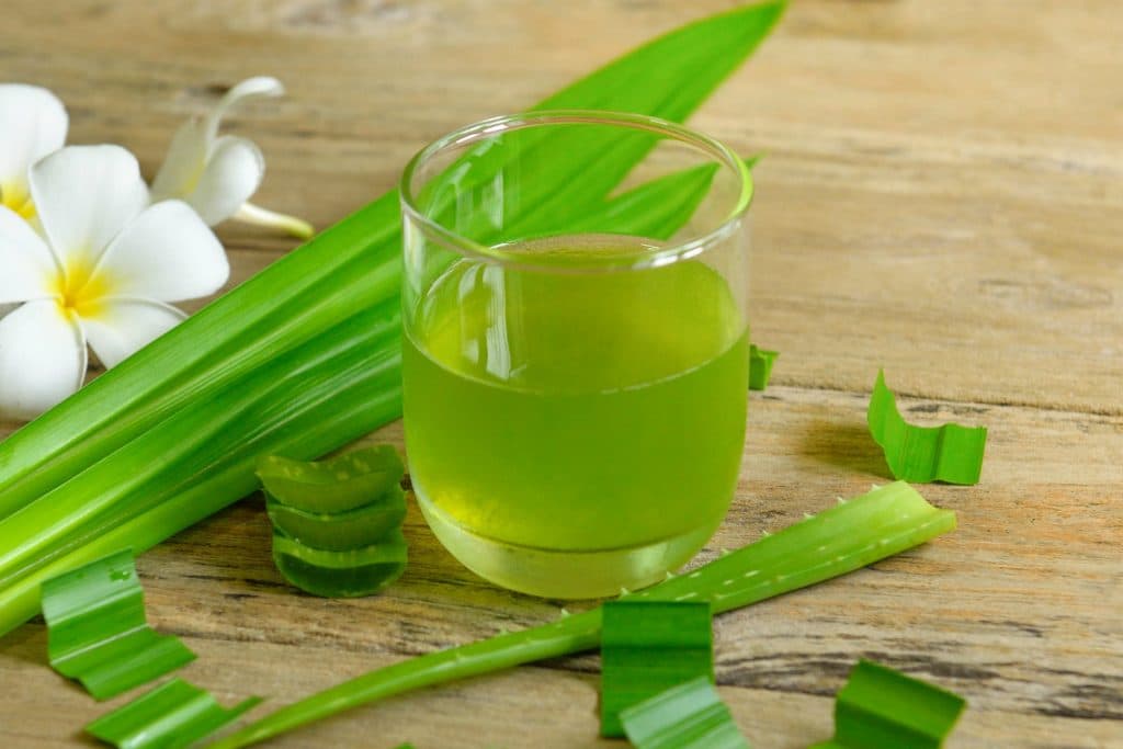 aloe vera propiedades