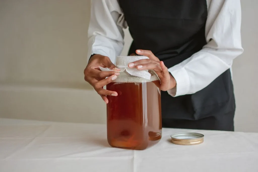 receta de kombucha